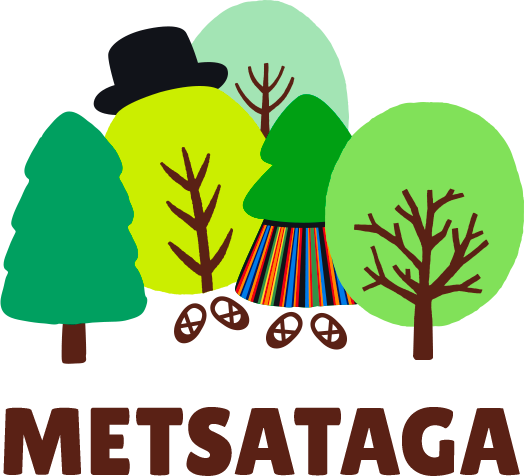 Segarahvatantsurühm Metsataga